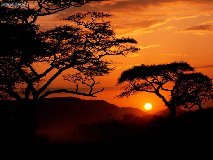 Serengeti National Park, Tanzania