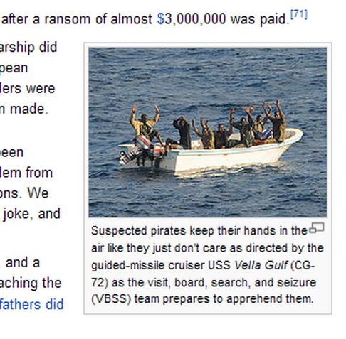 16 Funny Things Spotted on Wikipedia 008