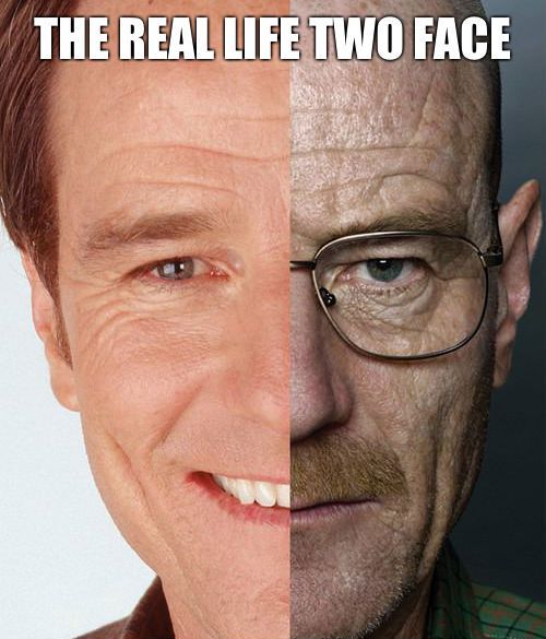 20 Bryan Cranston Memes 010