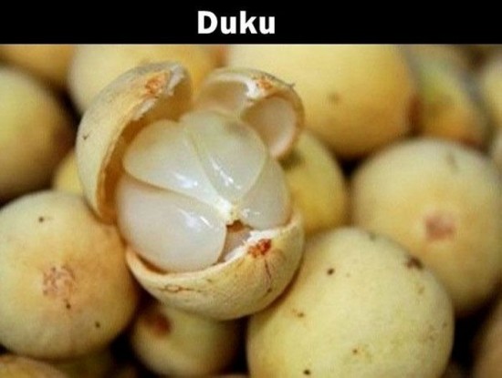 20 Fruits that you probably never heard about 003