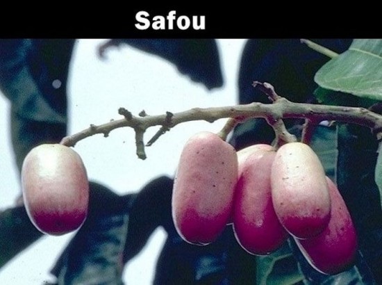 20 Fruits that you probably never heard about 018