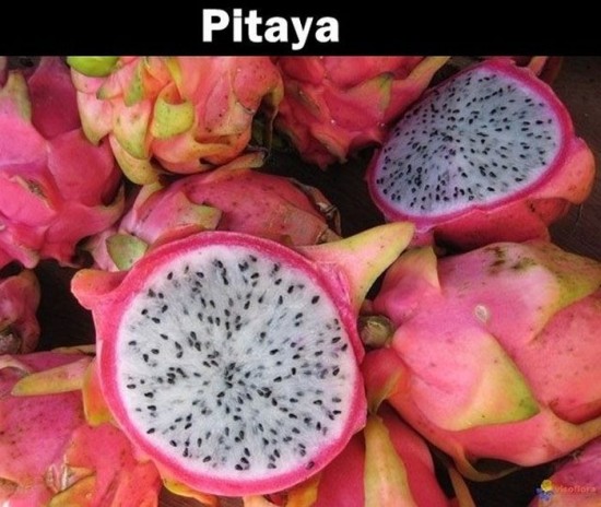 20 Fruits that you probably never heard about 020