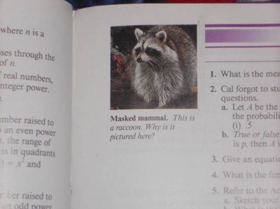 23 Funny Things Spotted in School Textbooks 008