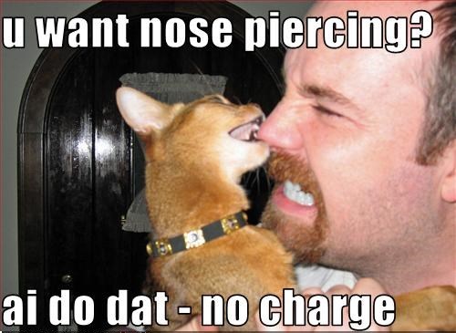 24 Hilarious Piercing Memes 023