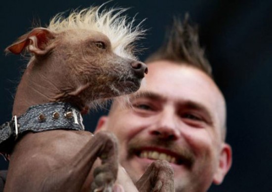 26 Dogs That Look Like Their Owners 001