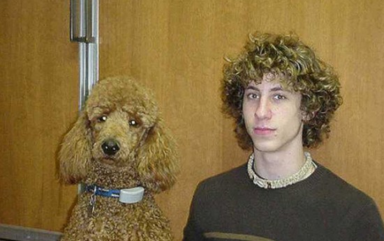 26 Dogs That Look Like Their Owners 006