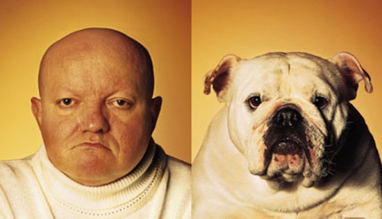 26 Dogs That Look Like Their Owners 014