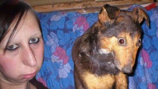 26 Dogs That Look Like Their Owners 022