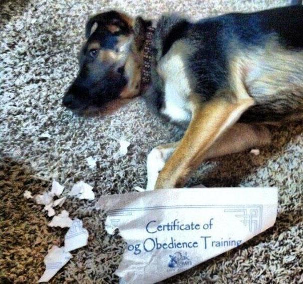 36 Of The Most Ironic Moments Ever 021