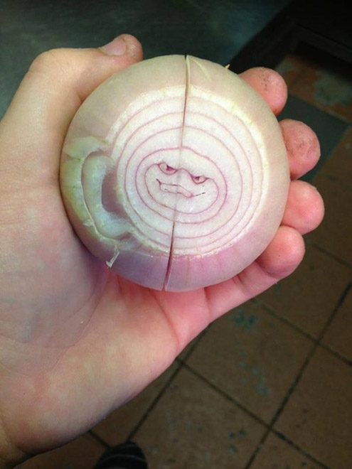 A conspiring onion
