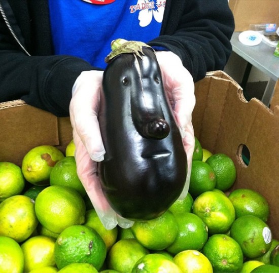 A serious eggplant