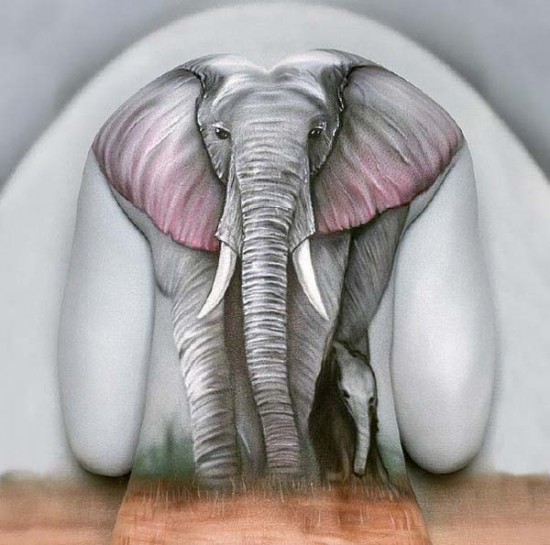 An elephant – Craig Tracy