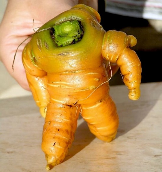 Buzz Lightyear or carrot