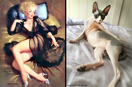 Cats That Look Like Pin-up Girls 001