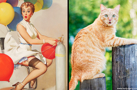 Cats That Look Like Pin-up Girls 002
