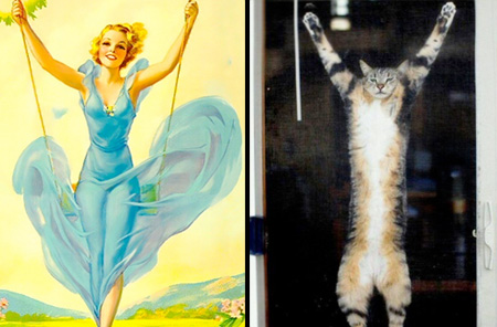 Cats That Look Like Pin-up Girls 003