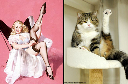 Cats That Look Like Pin-up Girls 006