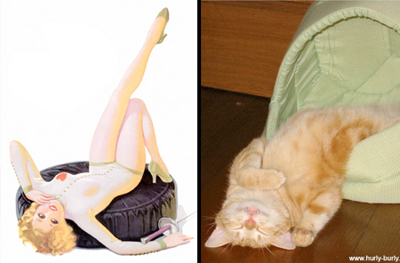 Cats That Look Like Pin-up Girls 008