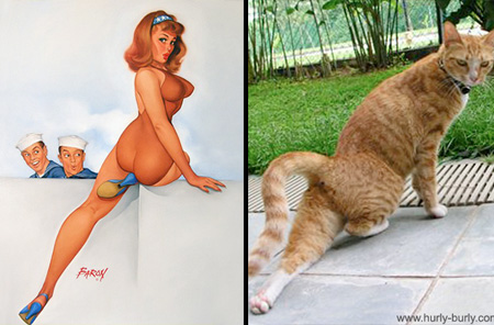 Cats That Look Like Pin-up Girls 009