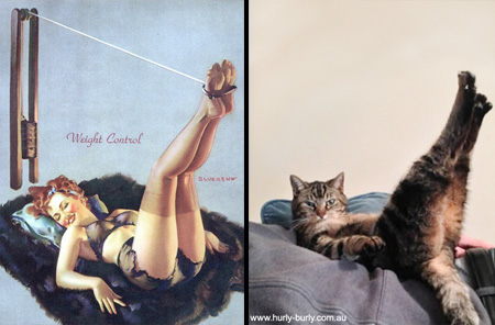 Cats That Look Like Pin-up Girls 010