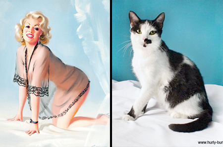 Cats That Look Like Pin-up Girls 011