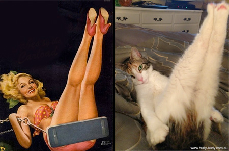 Cats That Look Like Pin-up Girls 012