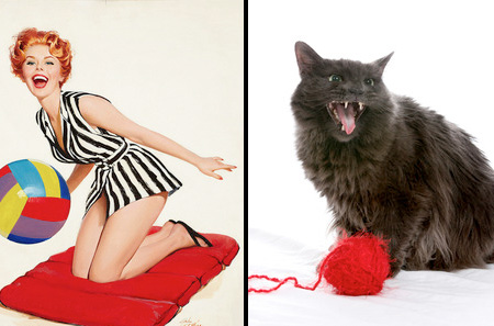Cats That Look Like Pin-up Girls 013