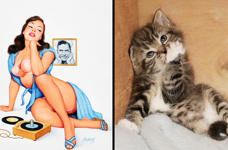 Cats That Look Like Pin-up Girls 014