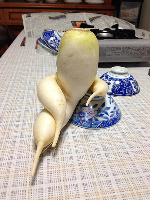 Classy daikon