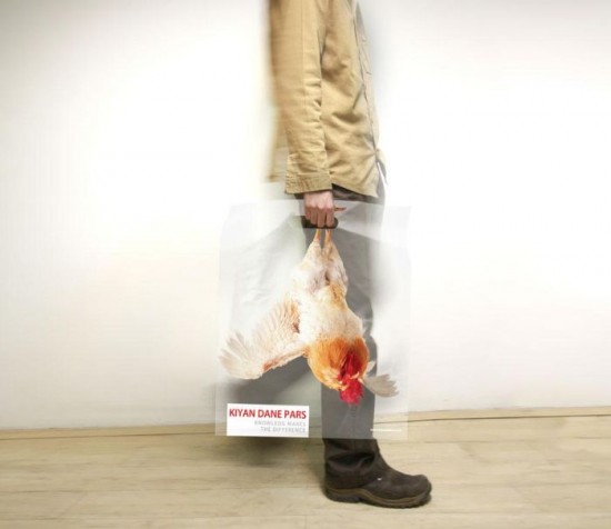 Creative Shopping Bag Designs 015