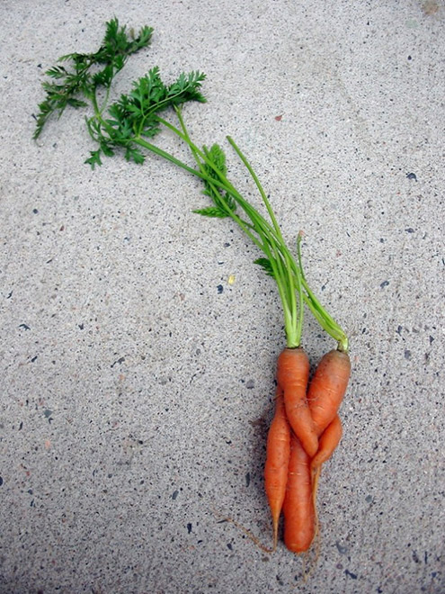 Emotional carrots