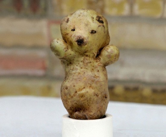 Happy bear potato