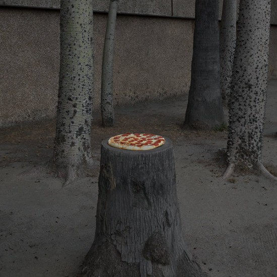 Pizza in the Wild by Jonpaul Douglass 003