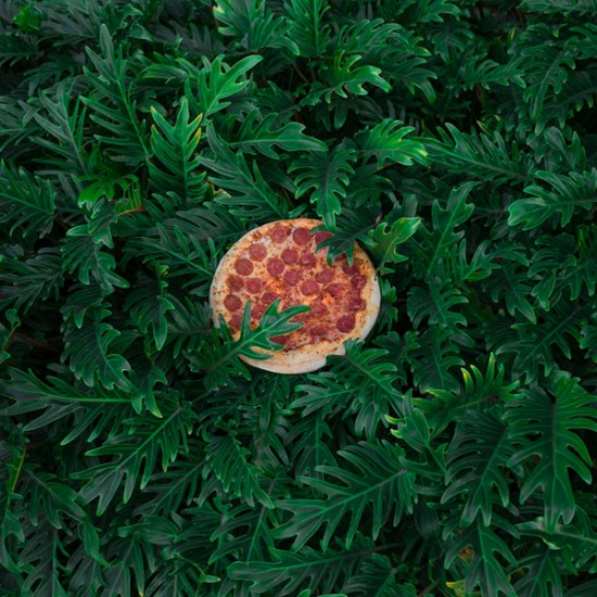 Pizza in the Wild by Jonpaul Douglass 007