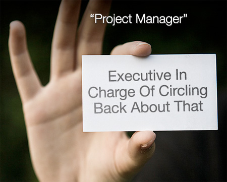 Project Manager