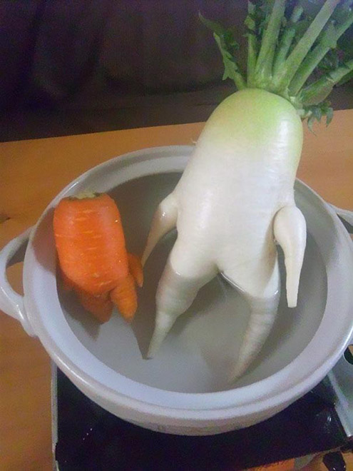 Radish and Carrot in a jacuzzi