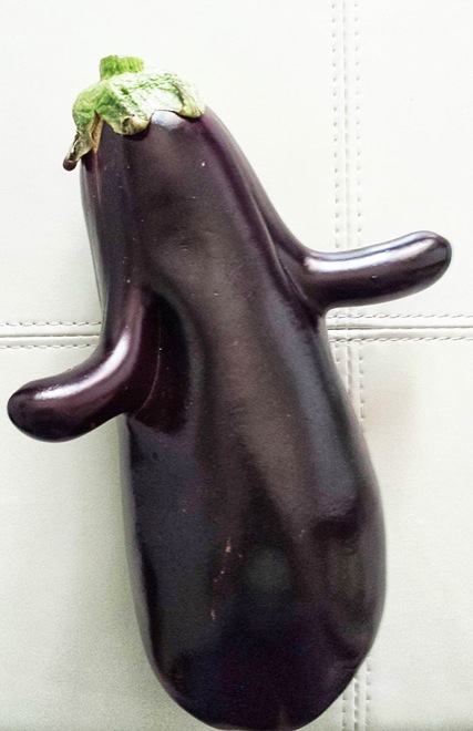 This eggplant welcomes you with open arms