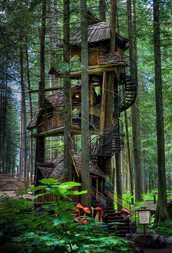 Three Story Treehouse in British Columbia, Canada