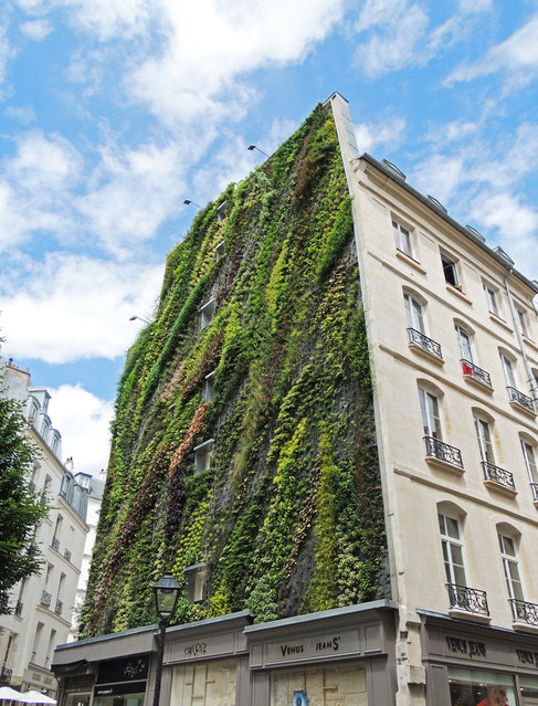 Vertical Garden – By Patrick Blanc in Madrid, Spain 001