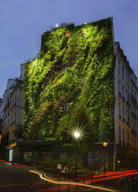 Vertical Garden – By Patrick Blanc in Madrid, Spain 012
