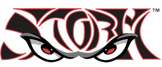 24 MLB Minor League Team Logos 009