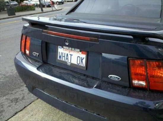 25 Funny License Plates 018