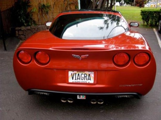 25 Funny License Plates 020