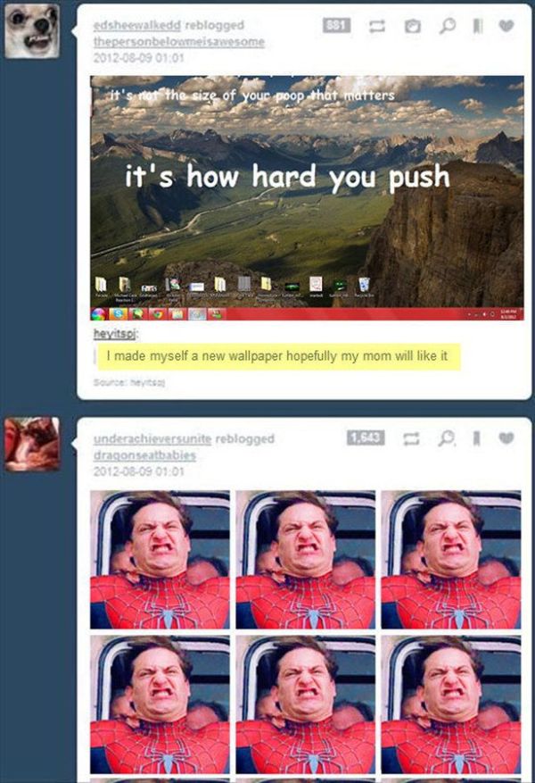 28 Perfectly Timed Tumblr Posts 002