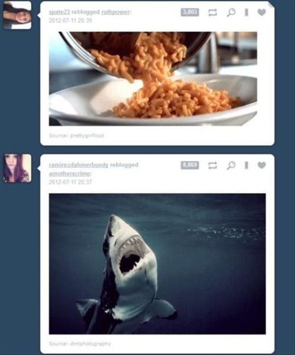 28 Perfectly Timed Tumblr Posts 007