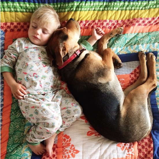 6 Month Update on the Toddler Who Takes Naps with His Puppy 001