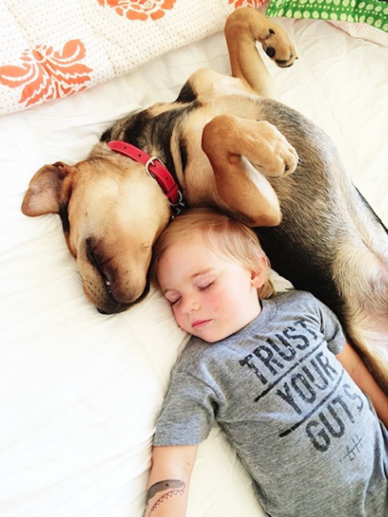 6 Month Update on the Toddler Who Takes Naps with His Puppy 003