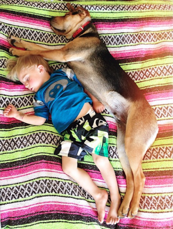 6 Month Update on the Toddler Who Takes Naps with His Puppy 004