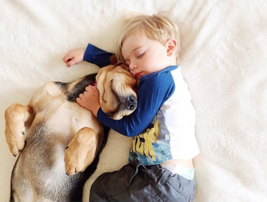 6 Month Update on the Toddler Who Takes Naps with His Puppy 006