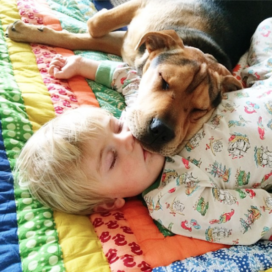 6 Month Update on the Toddler Who Takes Naps with His Puppy 013